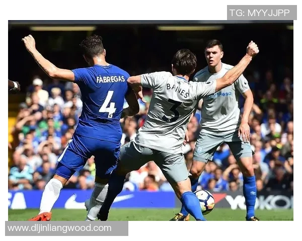 英足是杯精彩对决埃弗顿迎战热刺直播全程回顾与分析